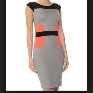 ~~SOLD~~ NWT French Connection Jersey Block Dress